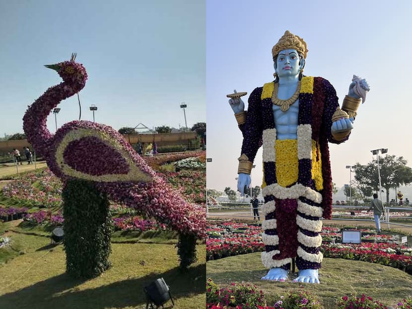 अहमदाबाद में भव्य पुष्प प्रदर्शनी आज से शुरू हो रही है।  तस्वीरें देखें
